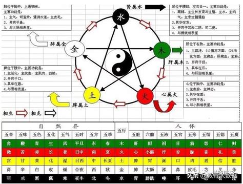 地支五行陰陽|[易經基礎] 天干地支詳解，天干地支配陰陽，天干地支配五行，天。